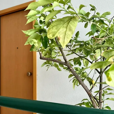 Se095 - Marzocca, Trilocale Comodo Al Mare E Ai Servizi